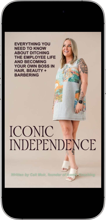 Iconic Independence free startup ebook